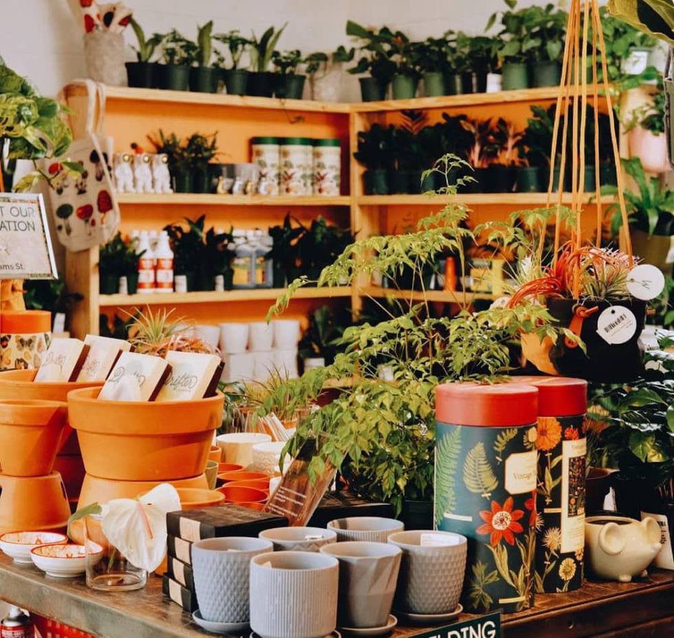 Moment by Mayawell pop-up