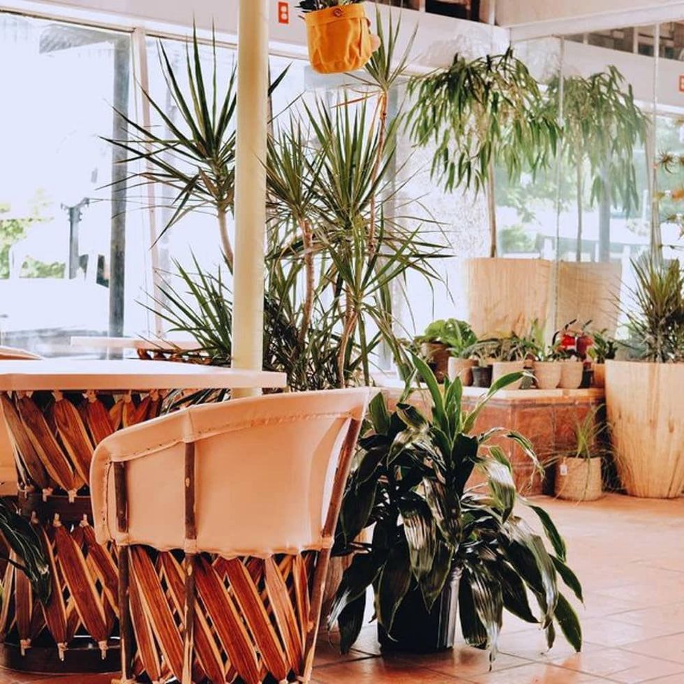 Moment by Mayawell pop-up