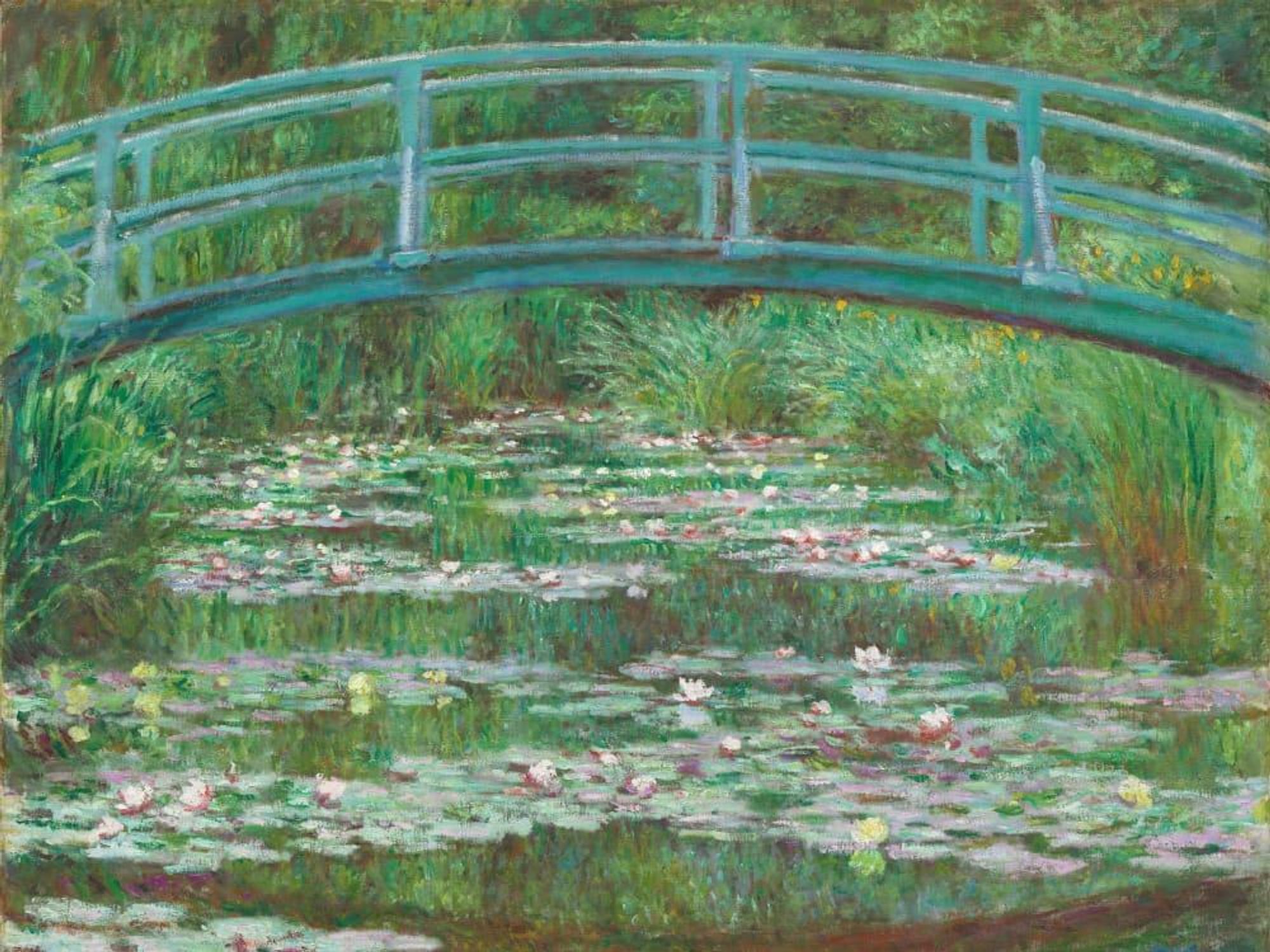 Monet, Water Lily Pond