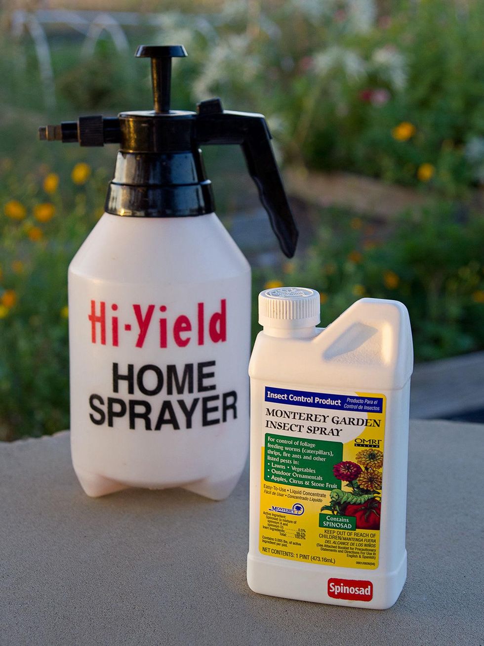 Monterey Insect Garden Spray bottle on table.