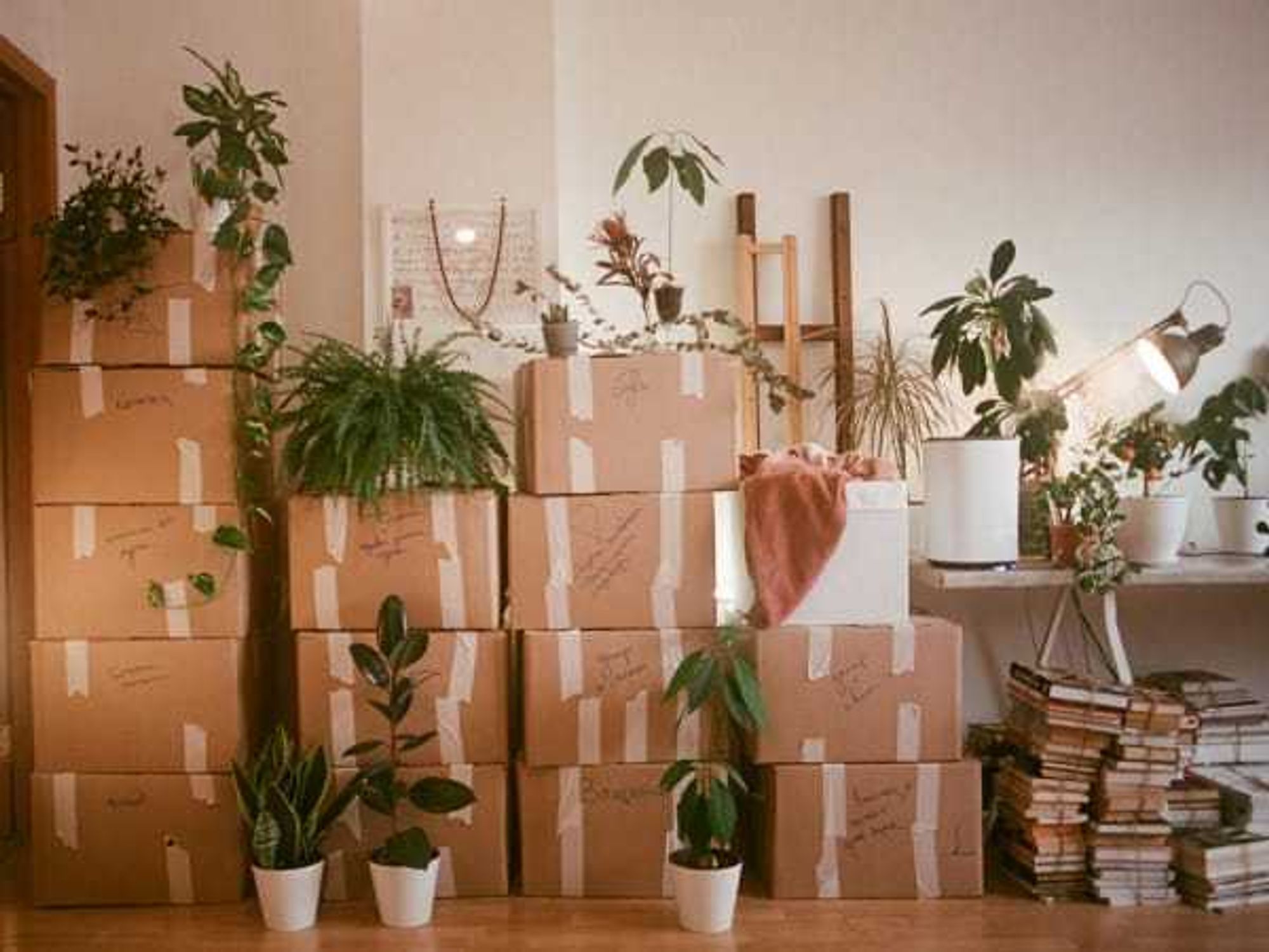 Moving boxes, packed to move, relocation, ZIP codes