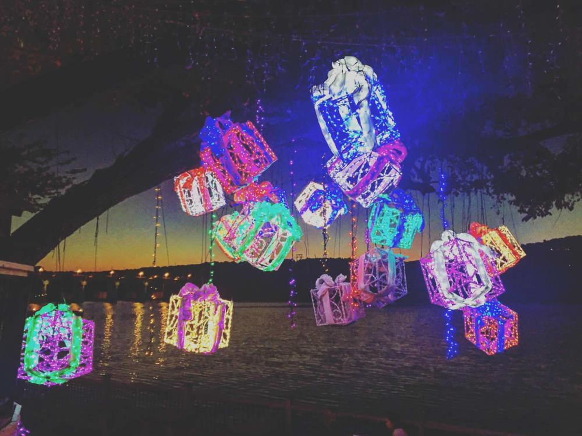 Mozart's Coffee Roasters Lake Travis Christmas holidays lights display