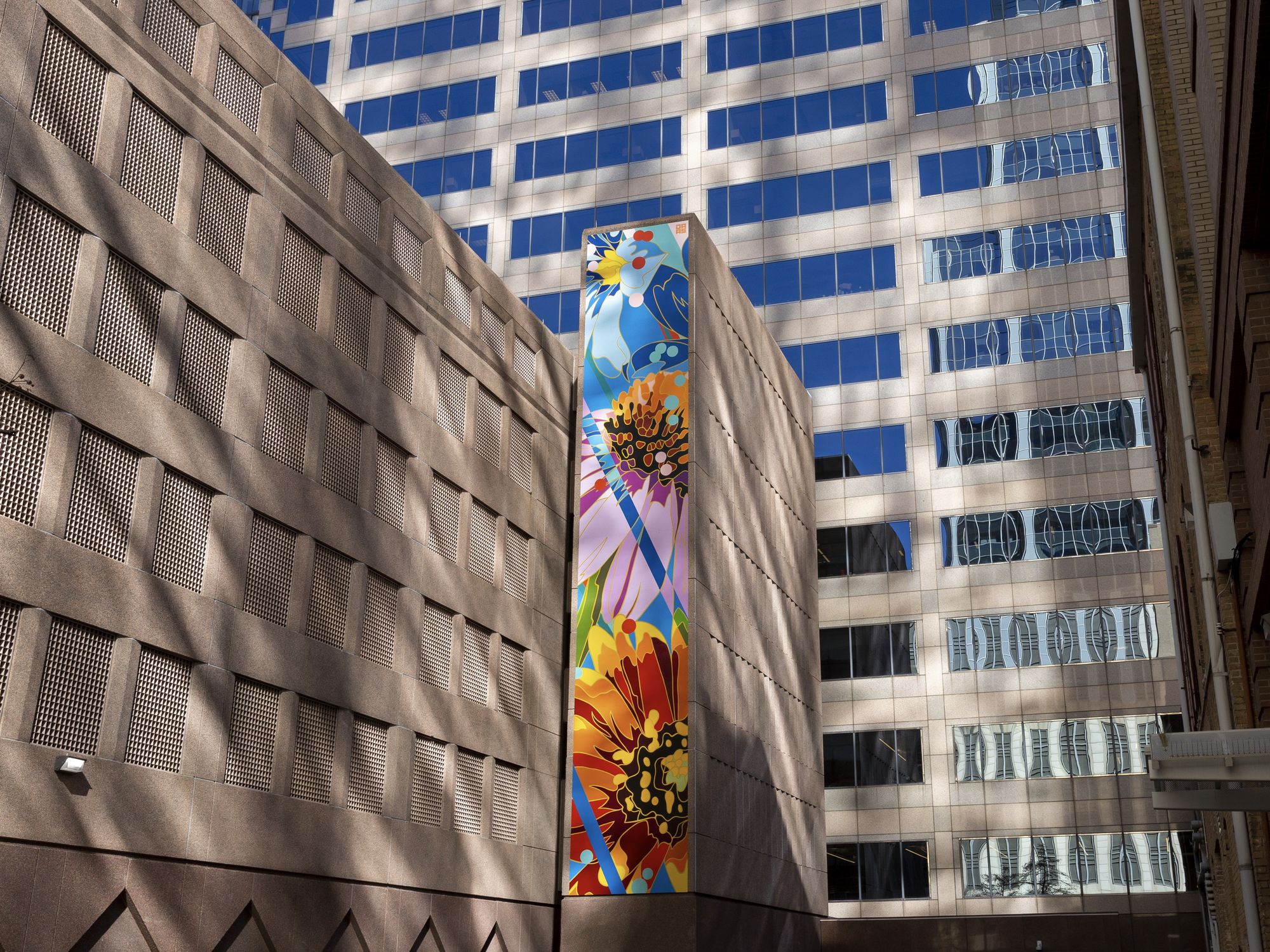 Mural in Austin, Where the Wildflowers Grow by DAAS