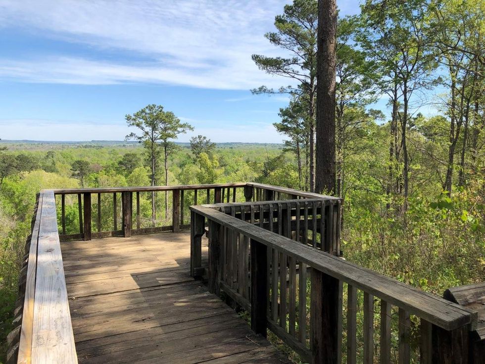 Neches Bluff Overlook