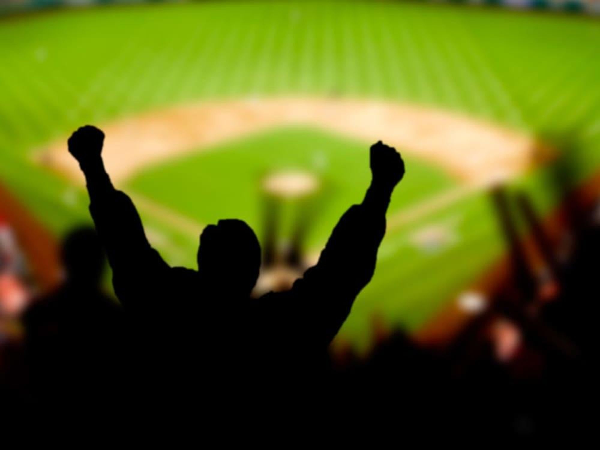 News_Baseball_fans_stadium