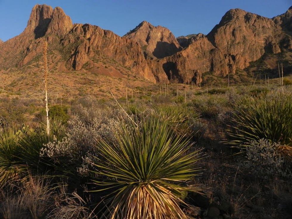 News_Big Bend_548