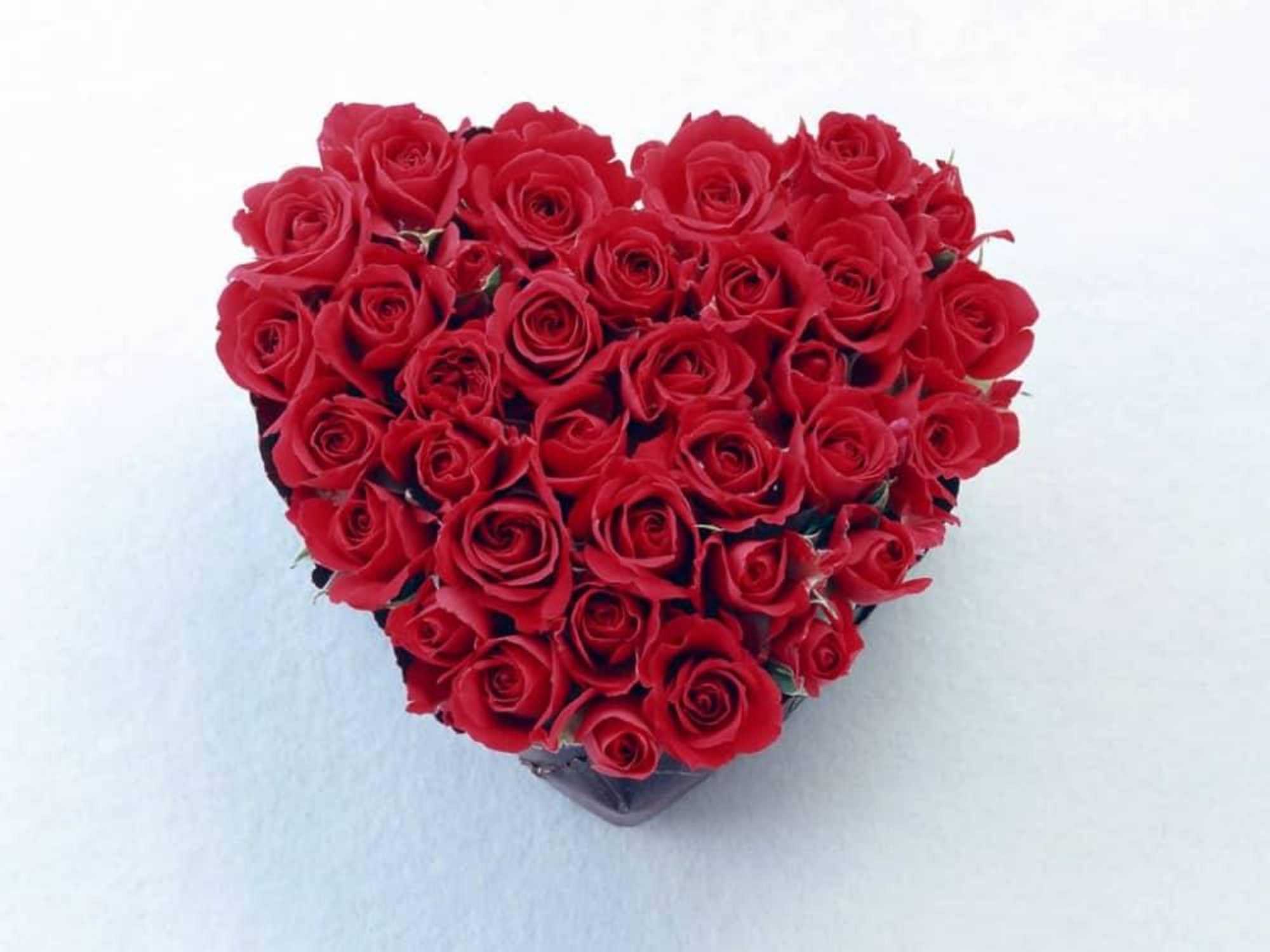 News_Caroline_roses_heart_floral arrangement_Jan. 2010