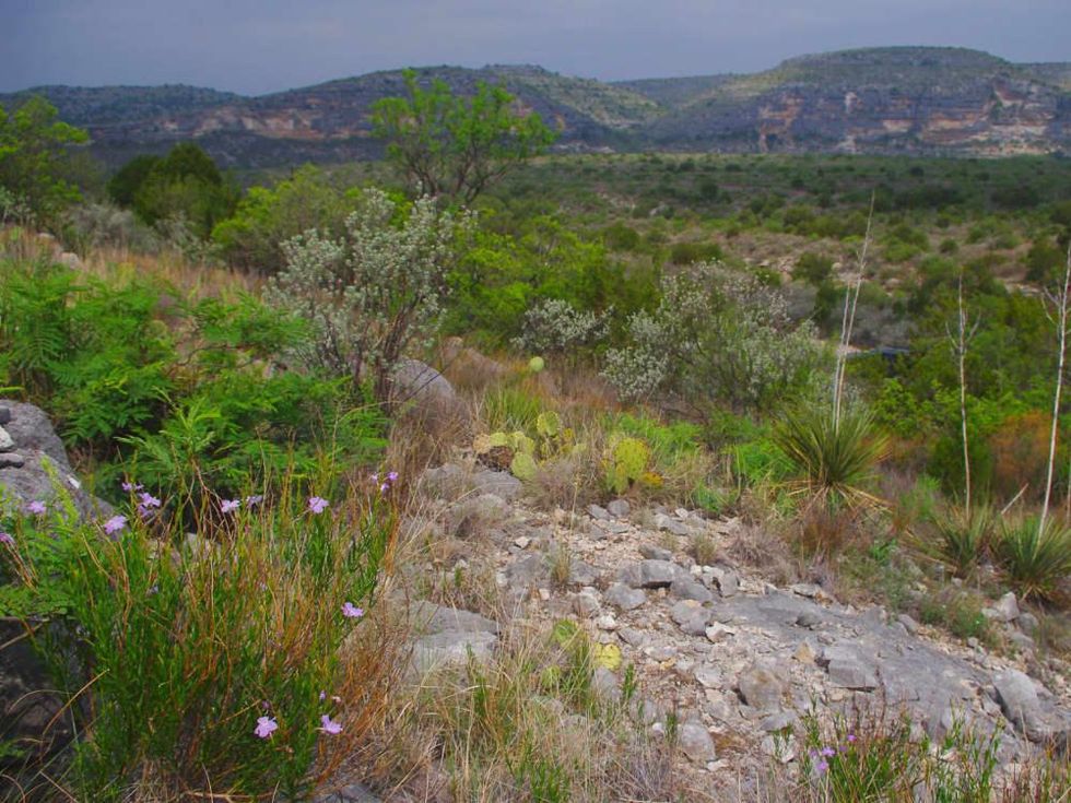 News_Devil's River State Natural Area_Landscape