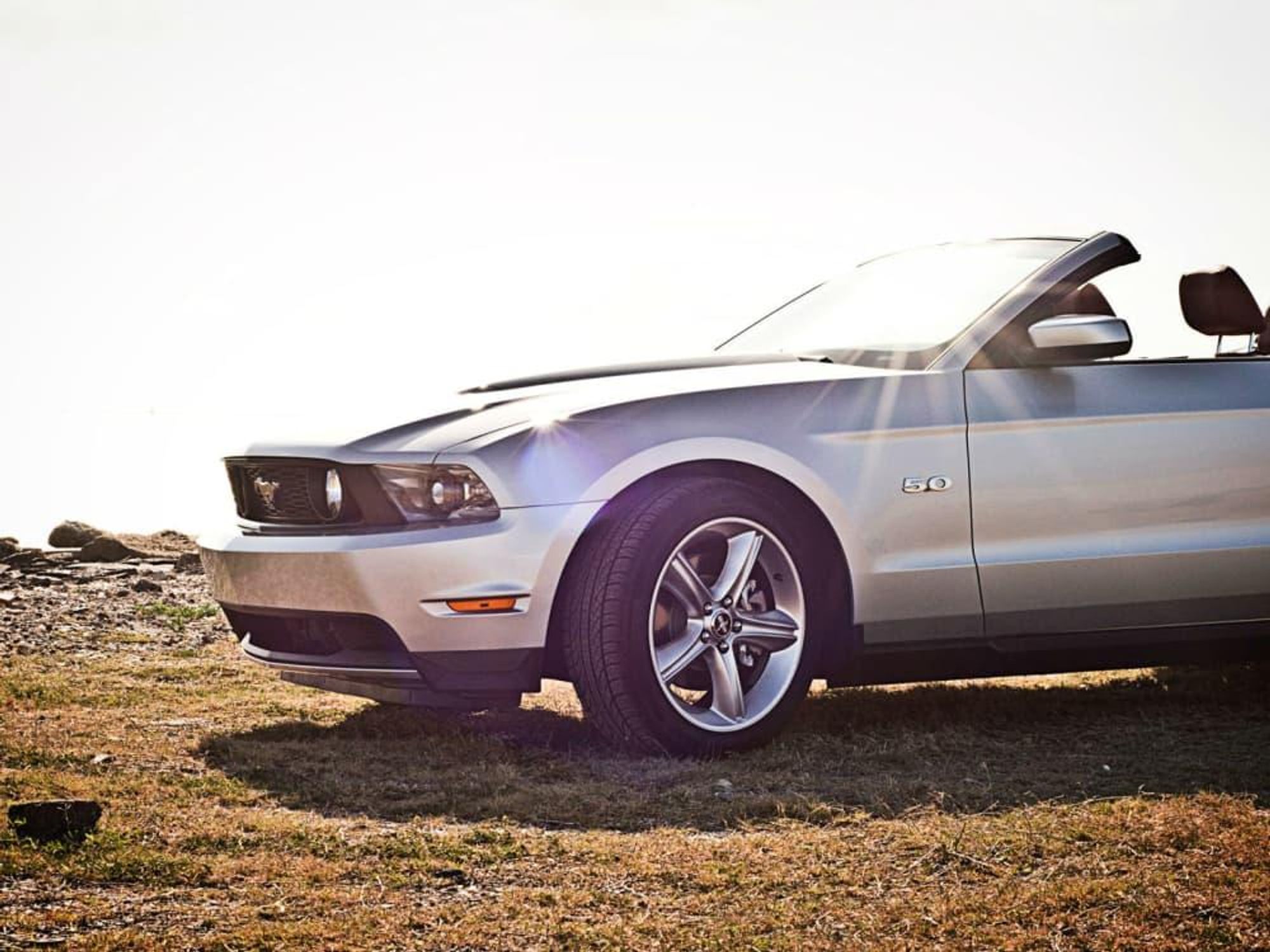 News_Mustang_June_2011
