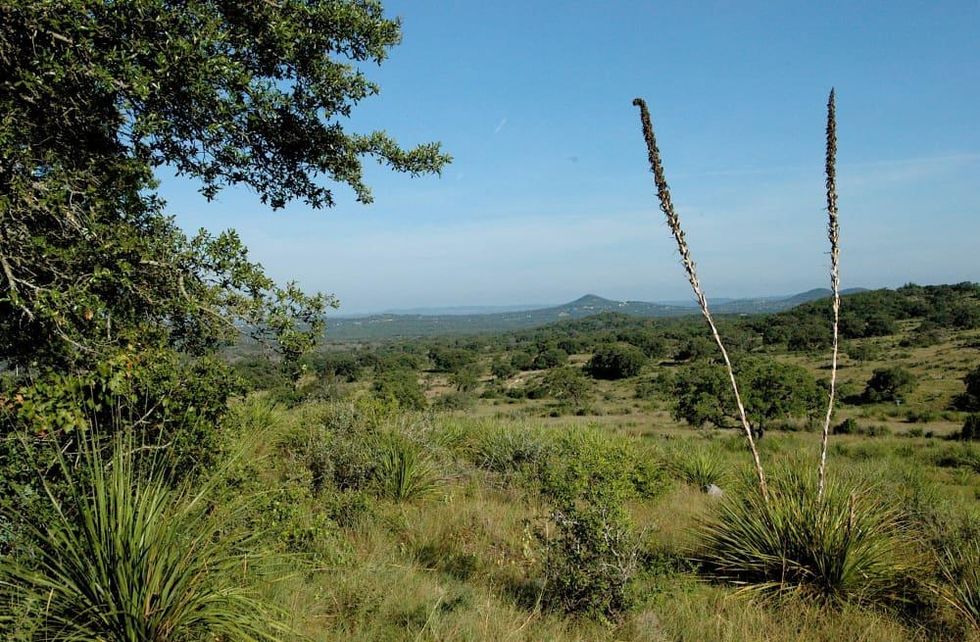 Northrup Pipe Creek Ranch