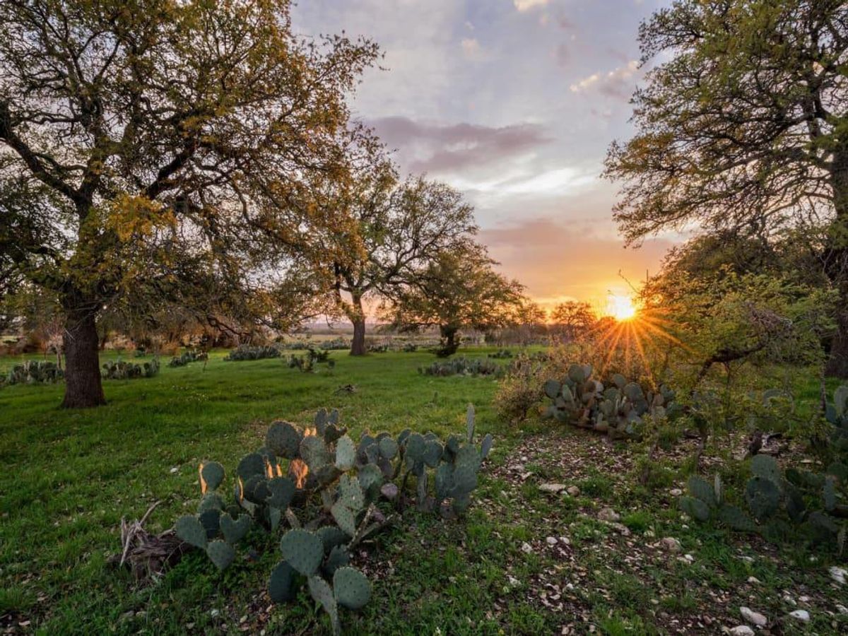 Orchard Ridge is located in Liberty Hill. CultureMap Austin