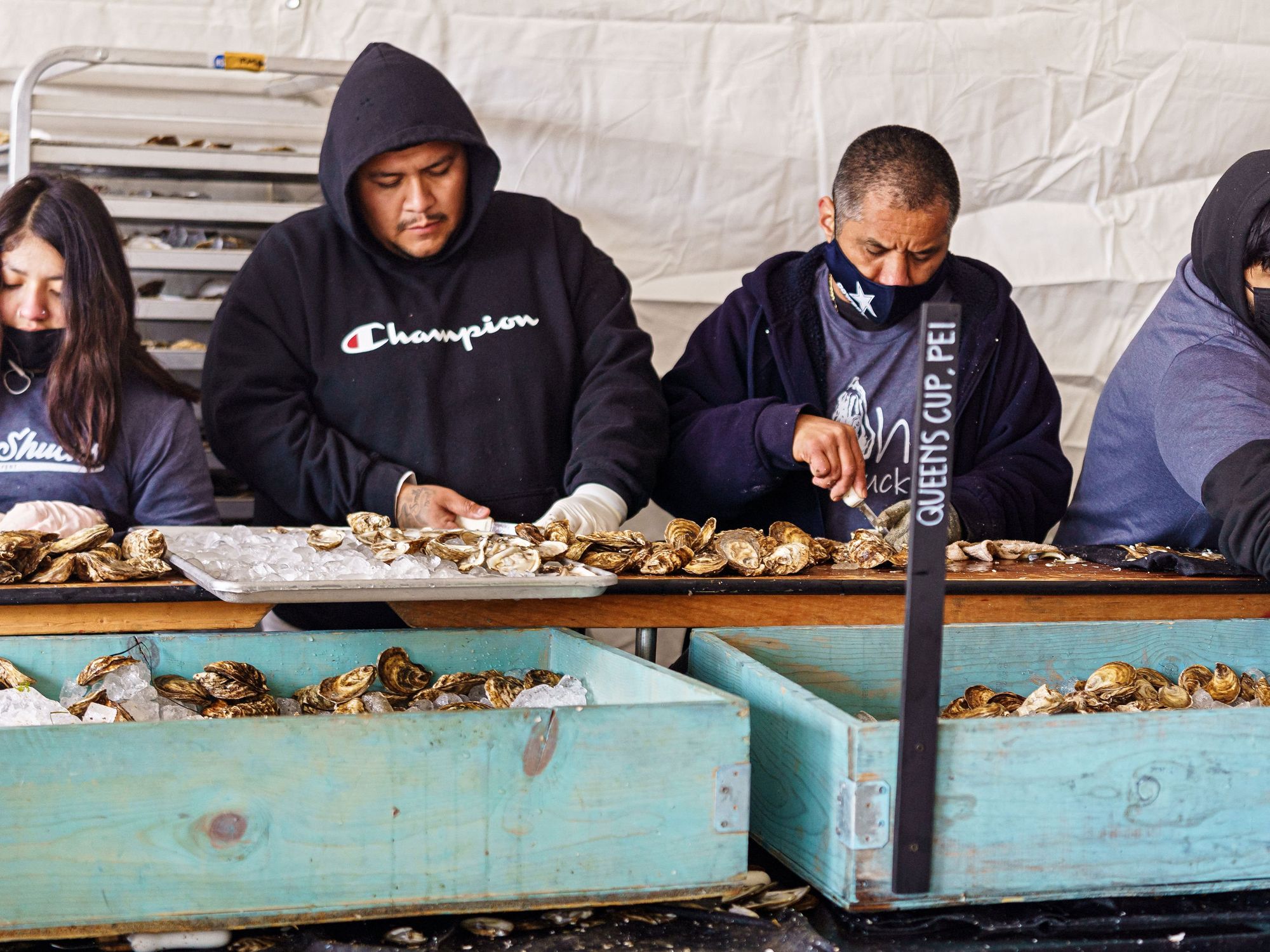 Oyster shuckers at the Austin Oyster Festival