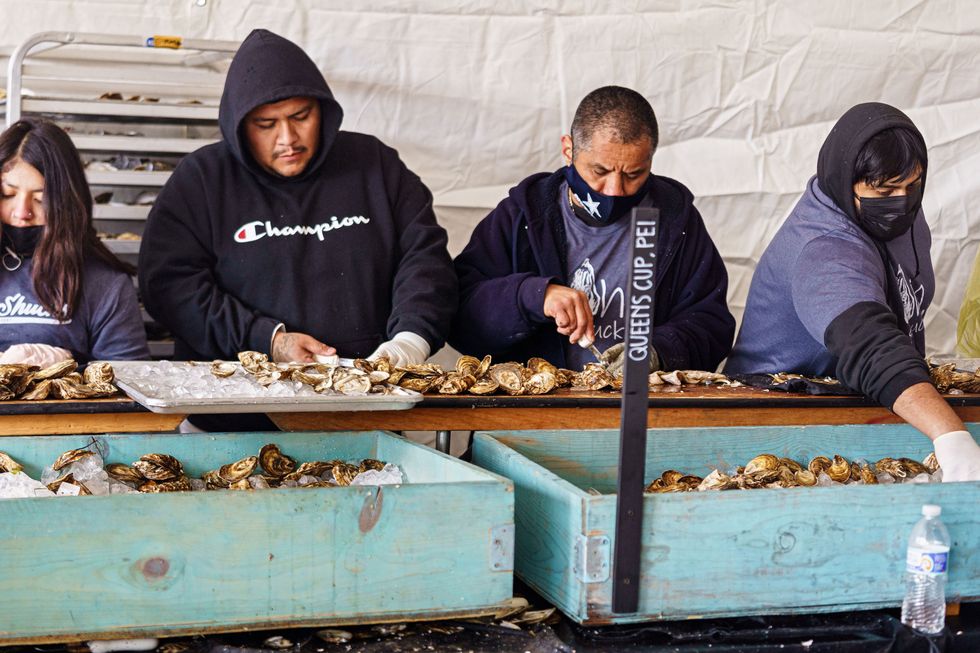 Oyster shuckers at the Austin Oyster Festival