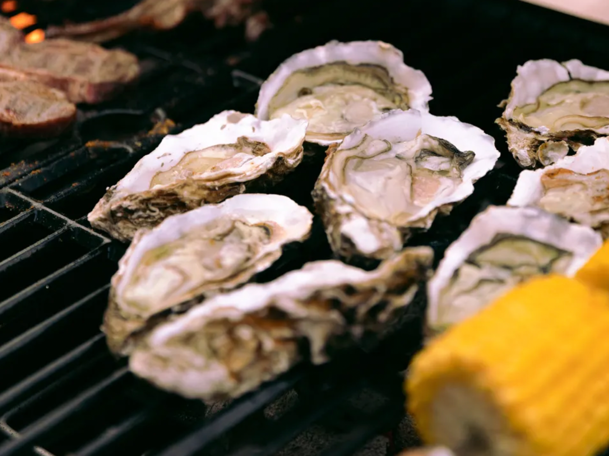 Oysters on grill