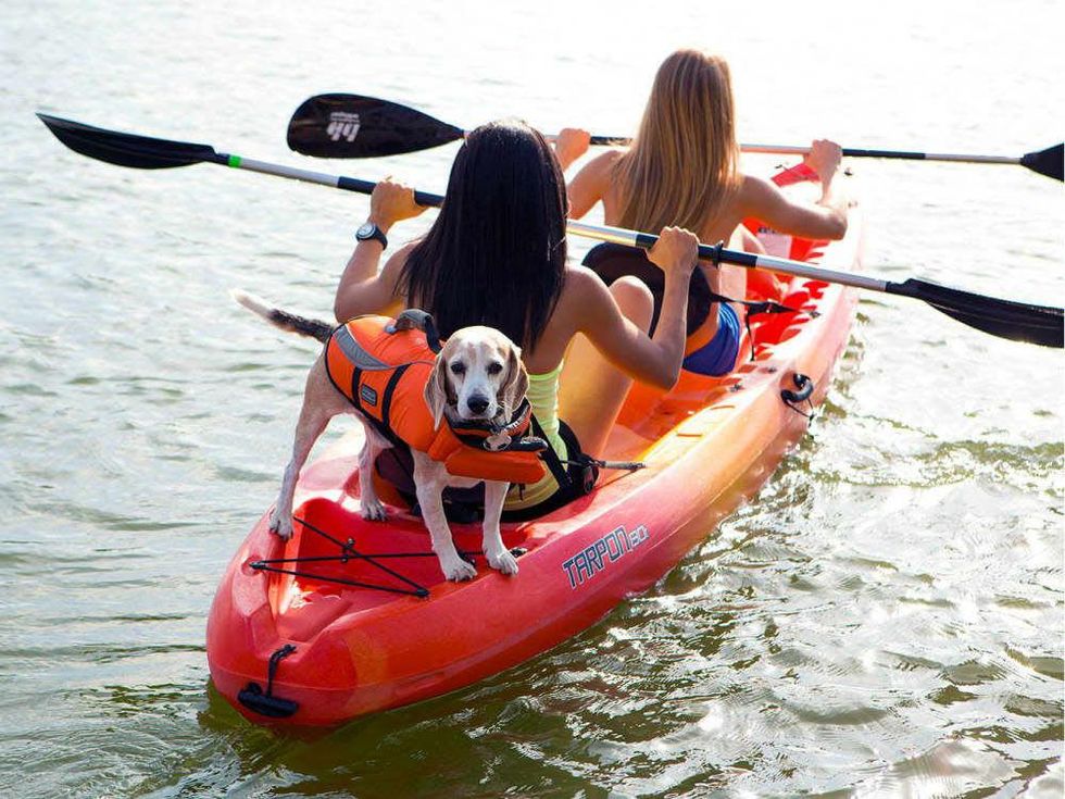 Paddle for Puppies 2015