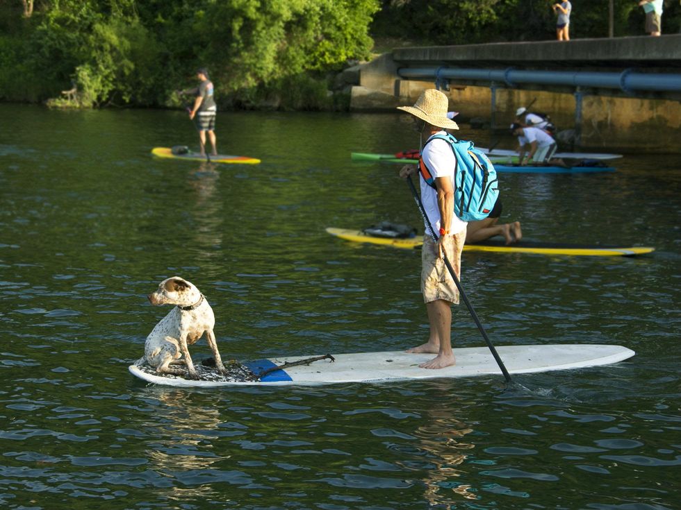 paddleboarder with dog on lake austin for Tyler's Dam that Cancer