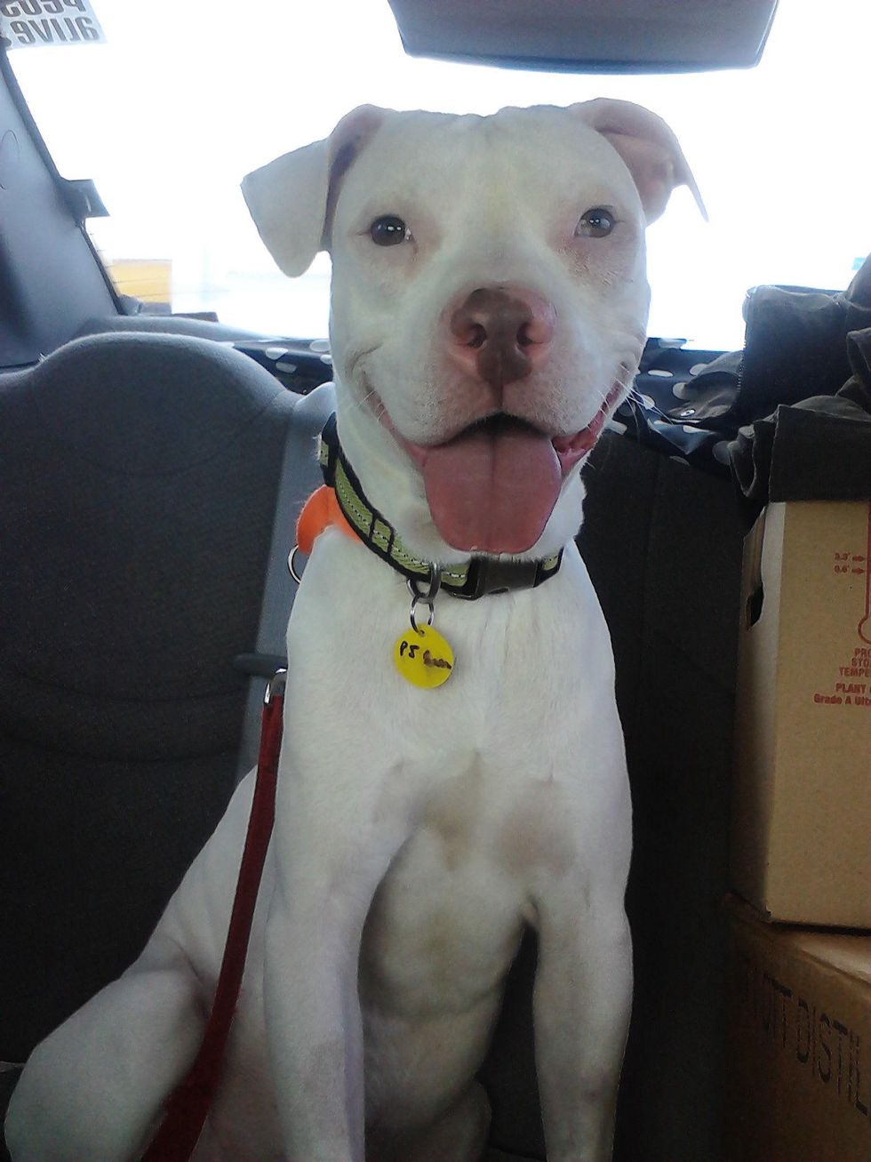 Pajama Sam is currently in a foster home