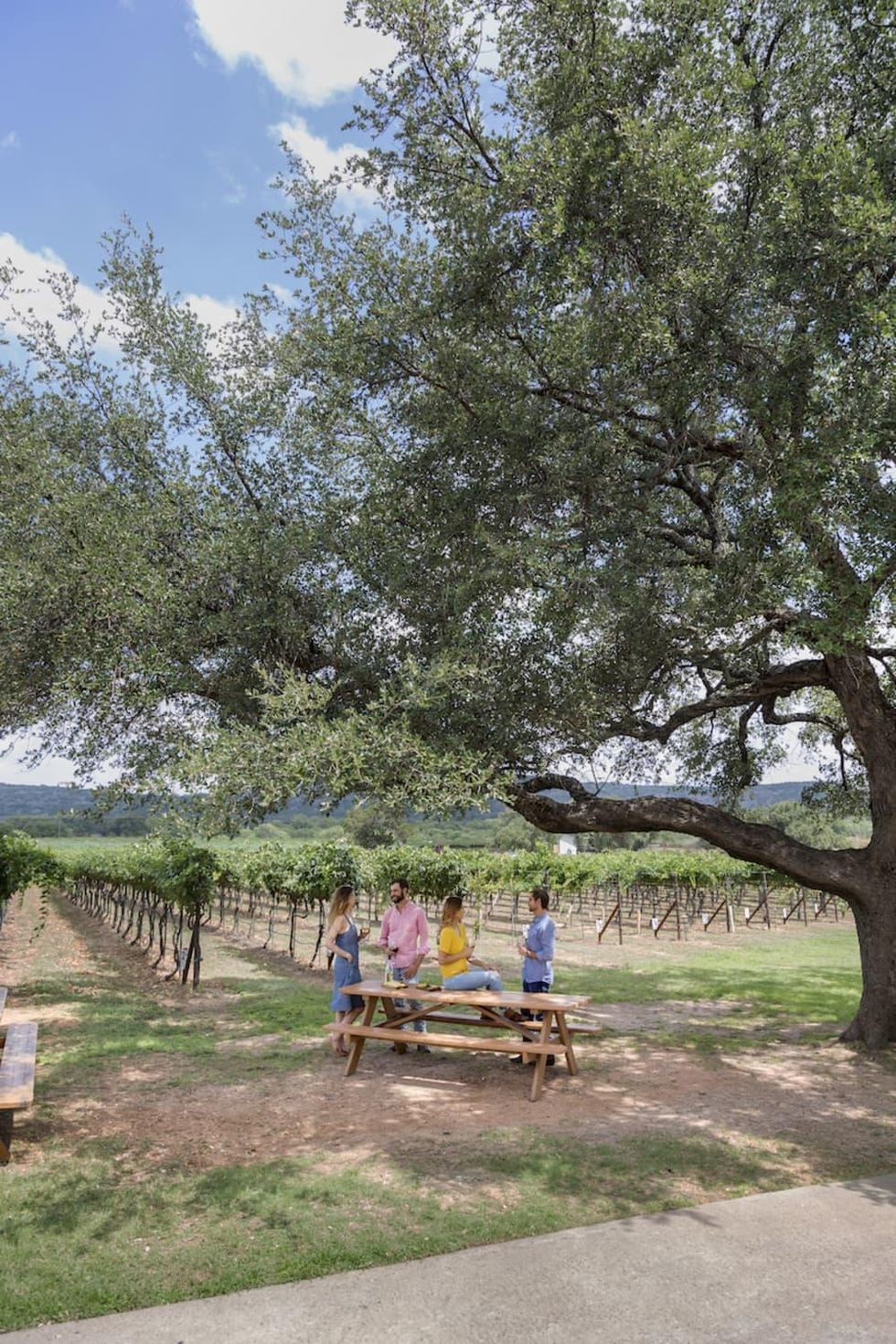 Raise a glass to the wonderful wildlife and wineries in Marble Falls
