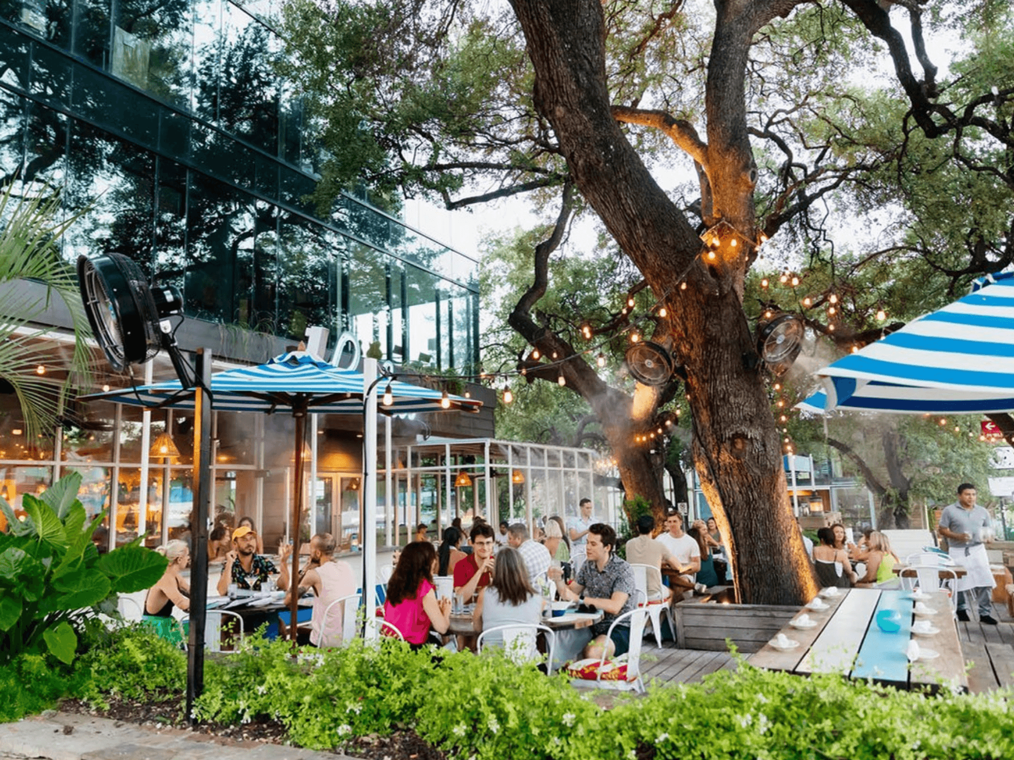 Perla's patio
