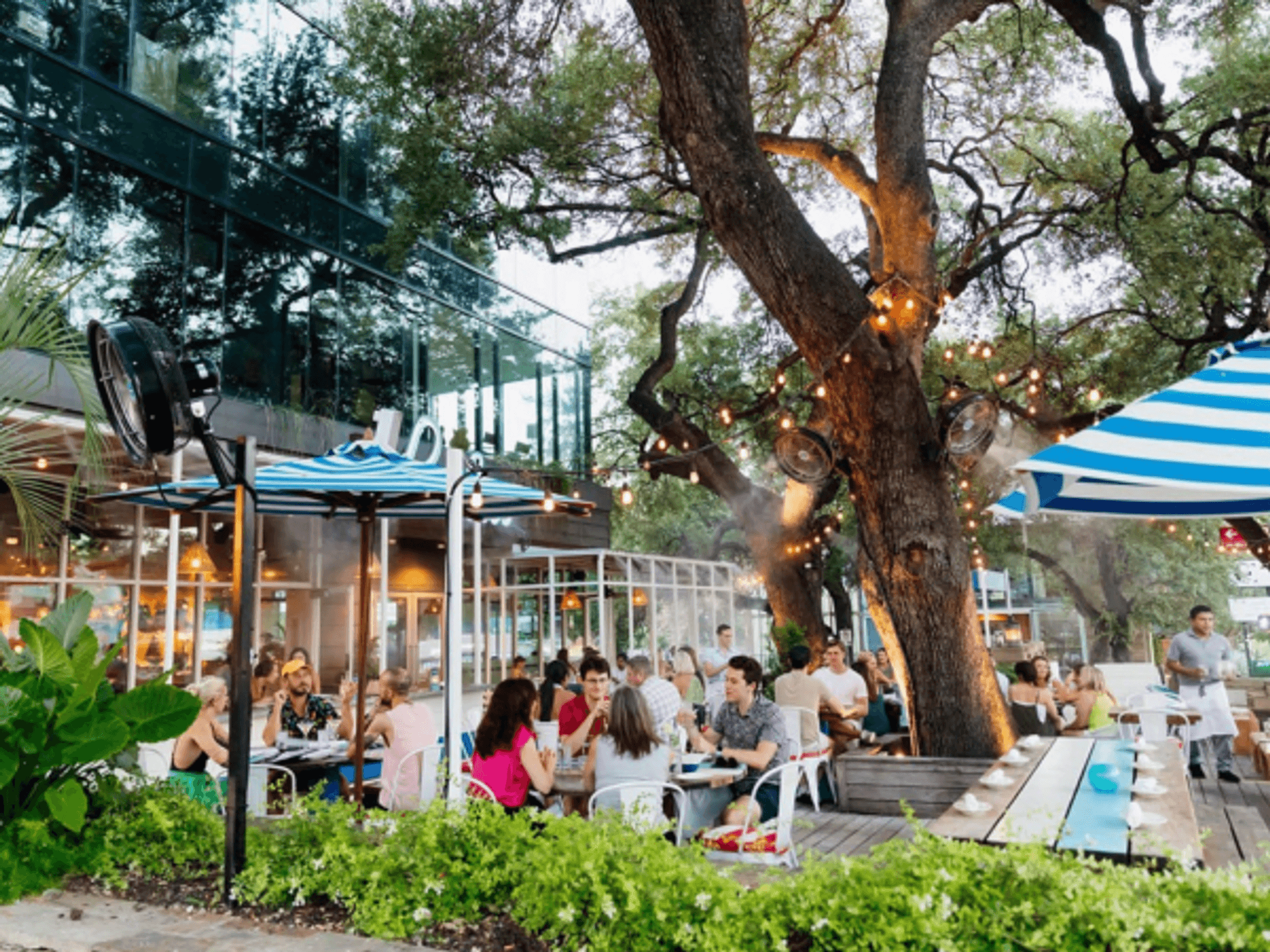 Perla's patio