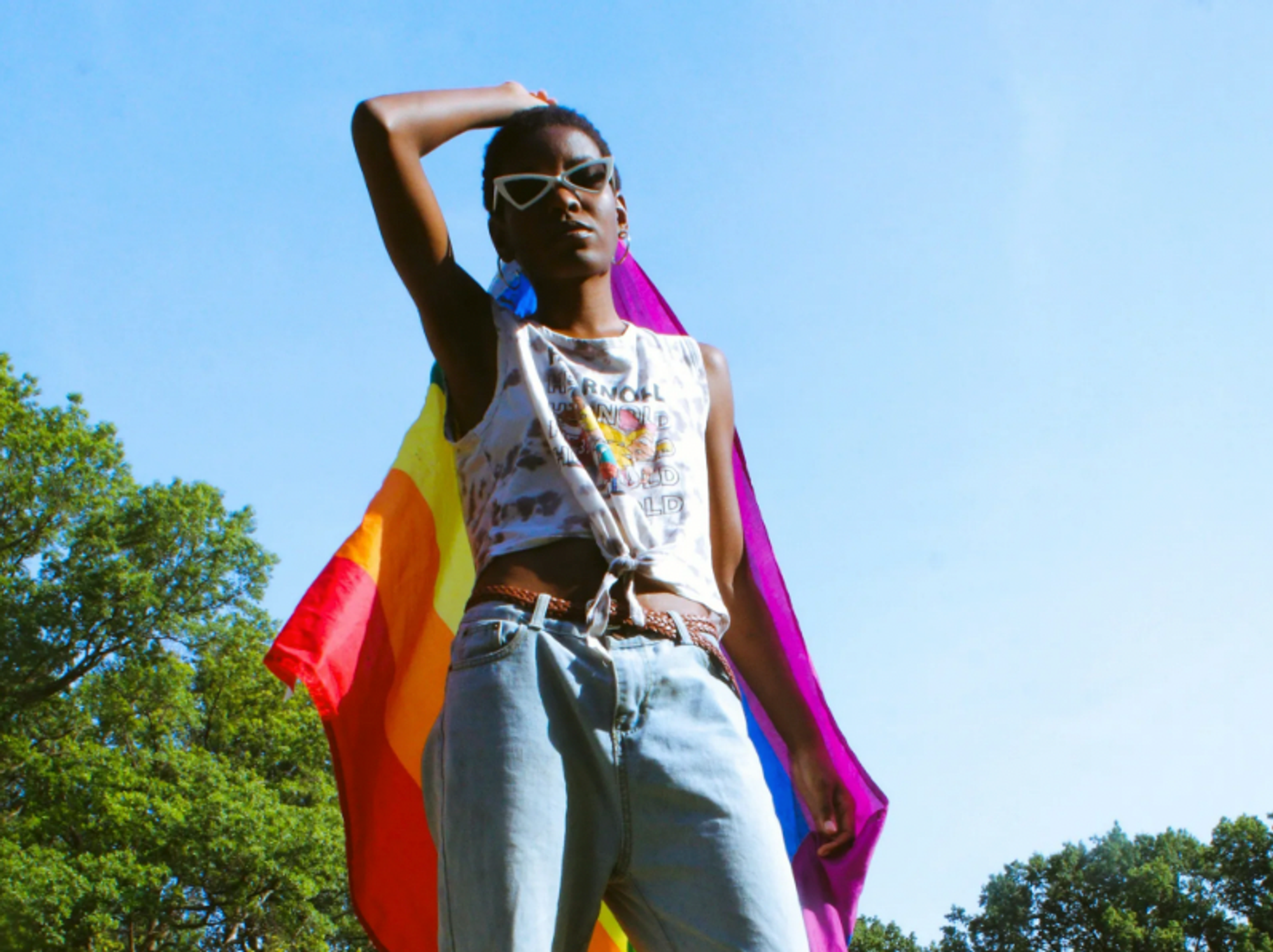 person holding pride flag
