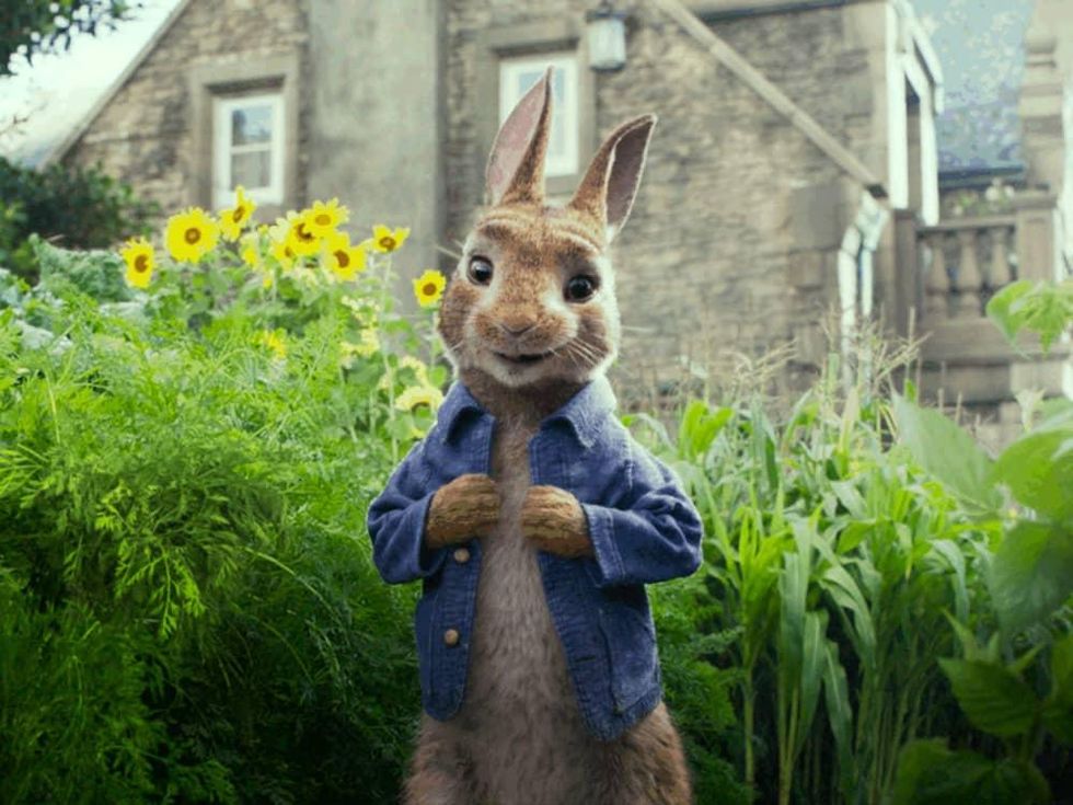Peter Rabbit (James Corden) in Peter Rabbit