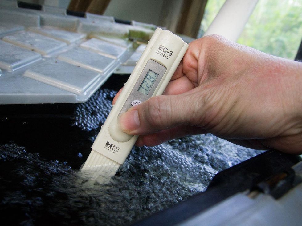 Photo fo electroconductivity meter in water