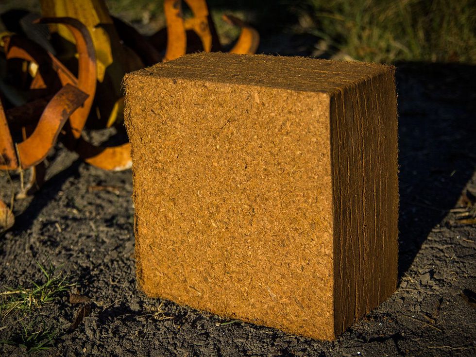 Photo of coconut coir brick
