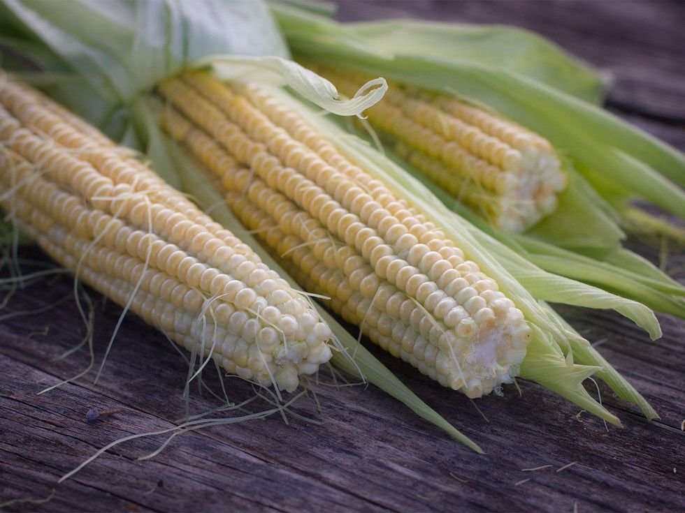 Photo of corn on the cob