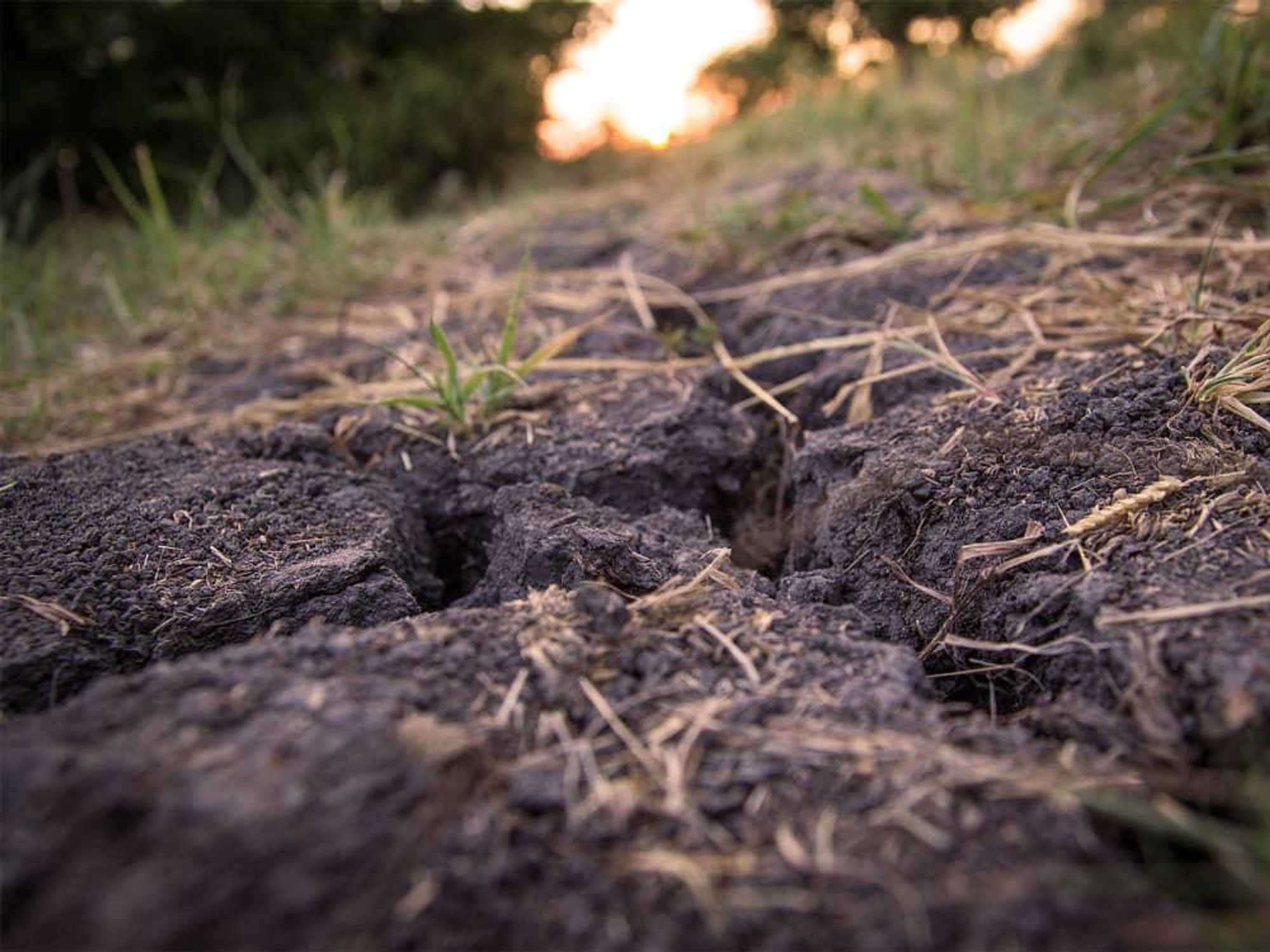 Photo of dry, cracked ground with sunset in the distance