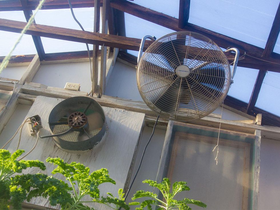 Photo of fans in greenhouse
