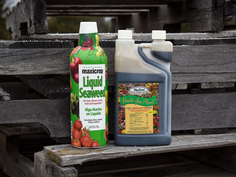 Photo of fertilizers