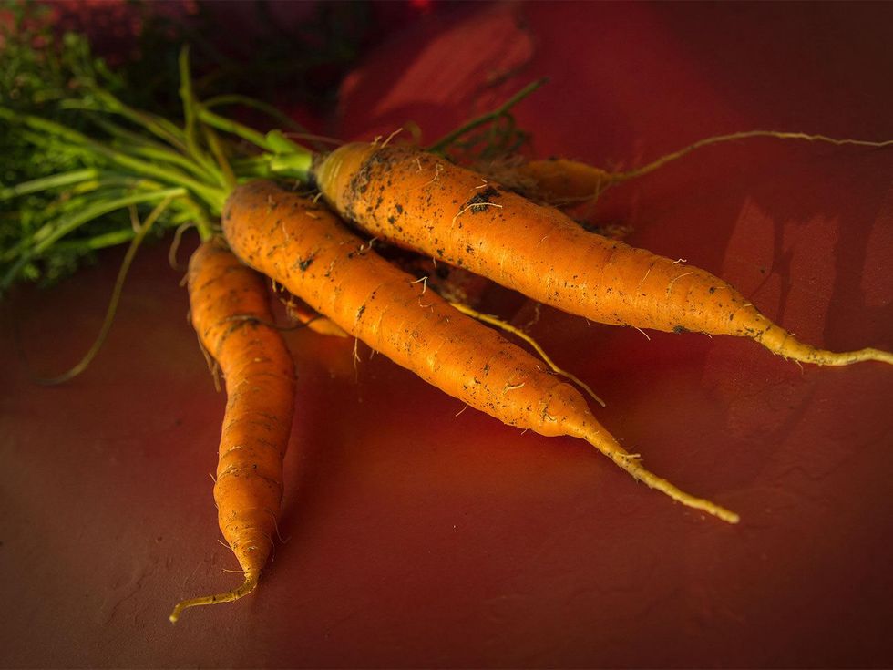 Photo of freshly picked carrots