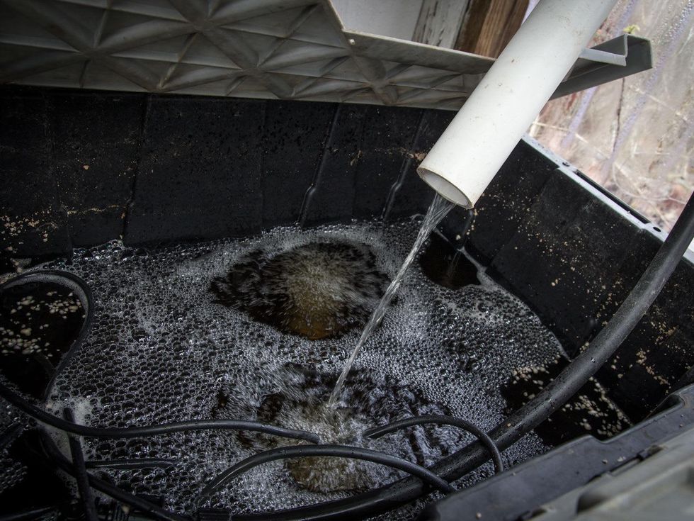 Photo of hydroponic reservoir