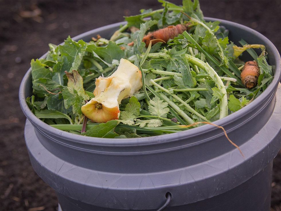 Photo of kitchen scraps in Bokashi bucket,