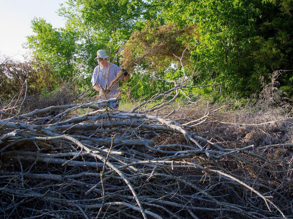 Photo of Marshall Hinsley adding limbs to a brush pile