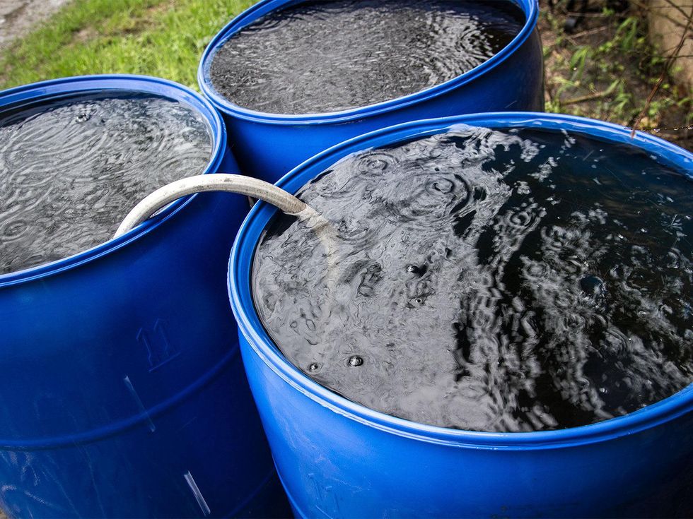 Photo of rain barrels in the rain