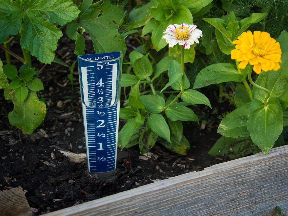 Photo of rain gage