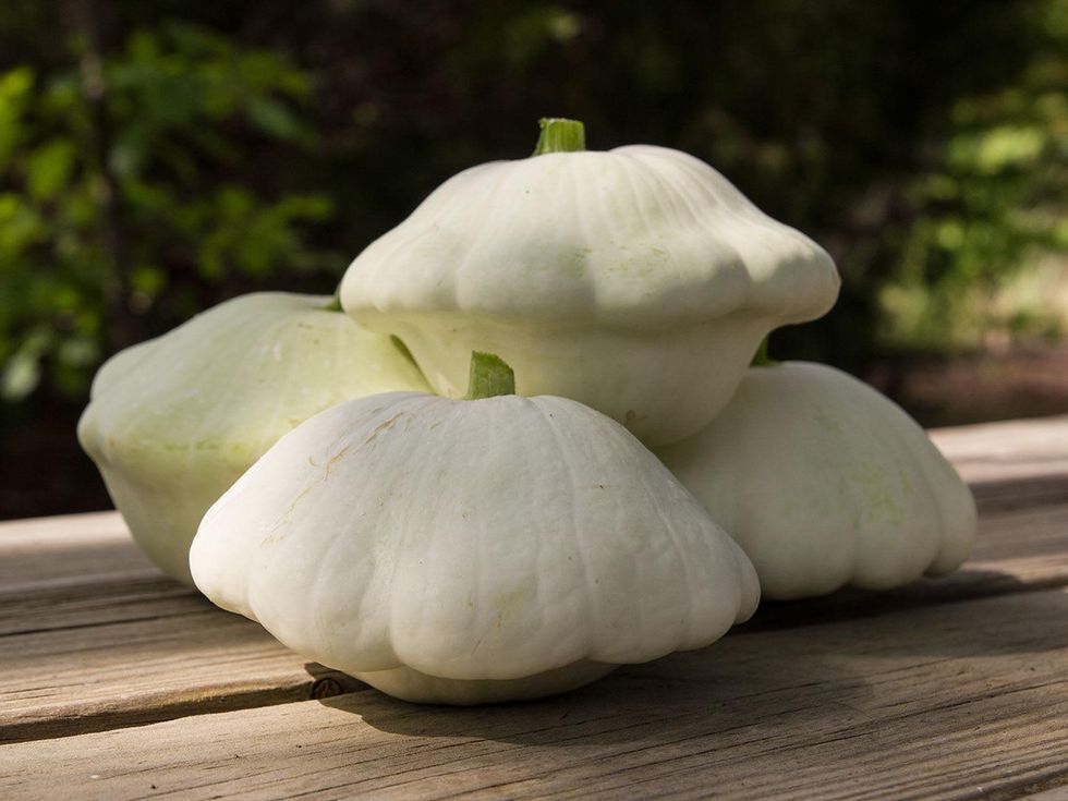 Photo of scallop squash