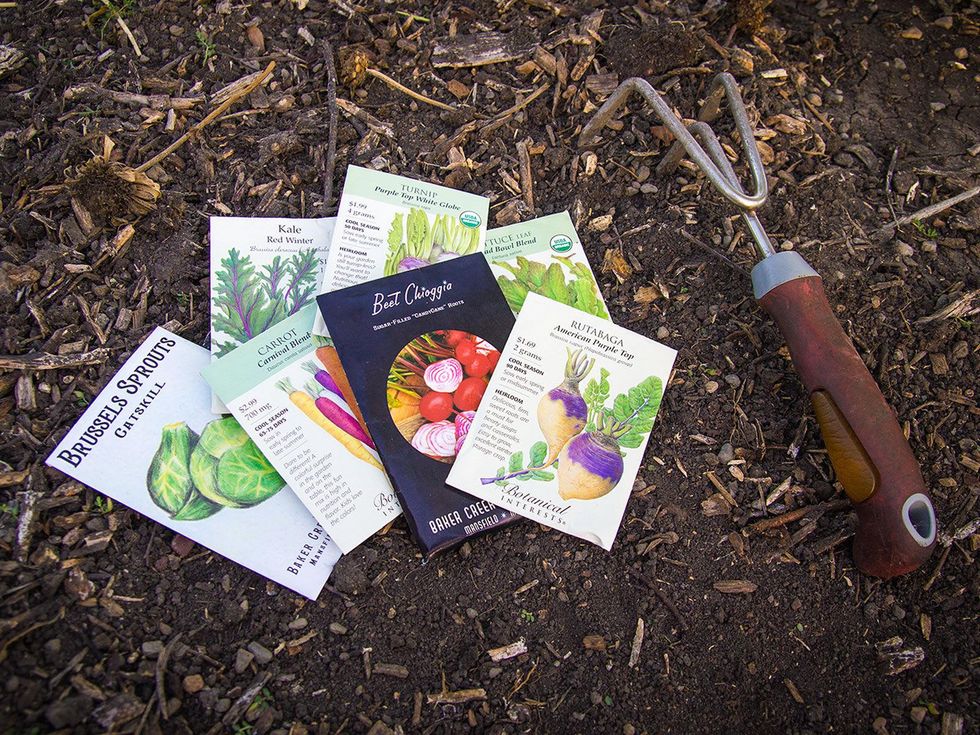 Photo of seed packets