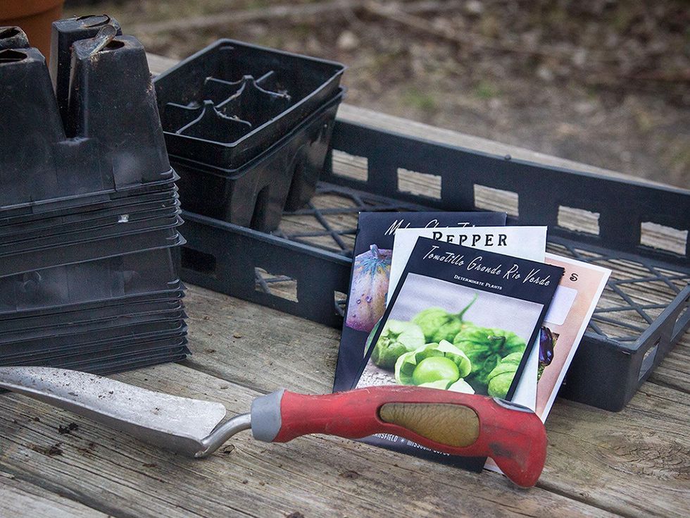 Photo of seed starting supplies