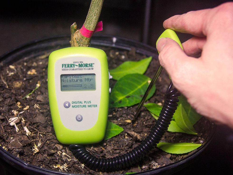 Photo of soil moisture meter