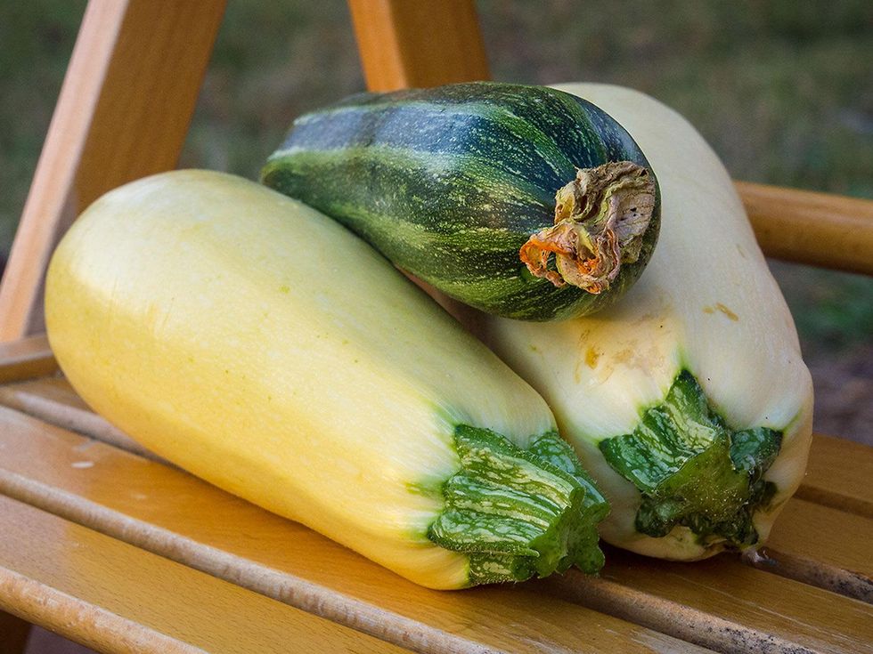 Photo of squash