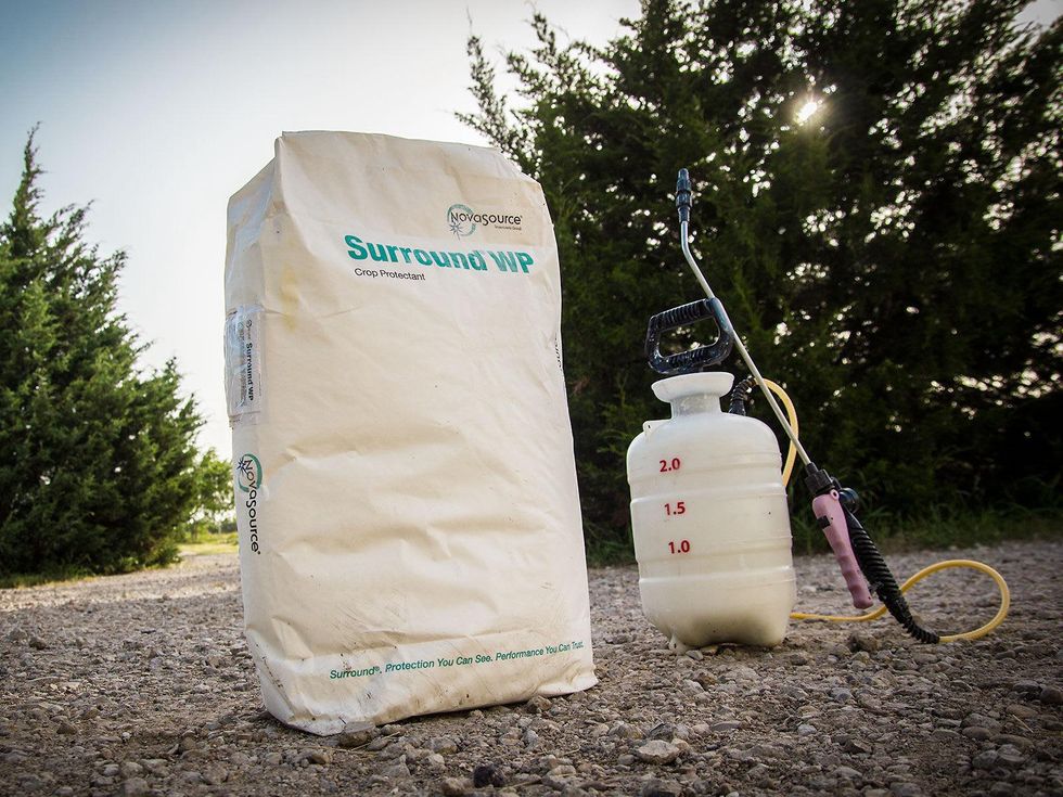Photo of Surround WP Crop Protectant