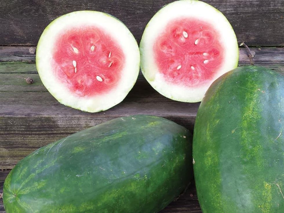 Photo of watermelon