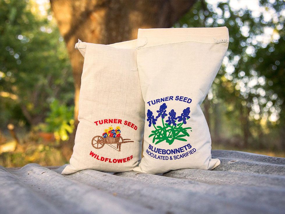 Photo of wildflower seed bags