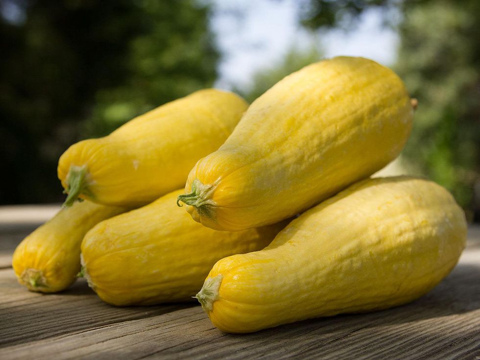 Photo of yellow squash