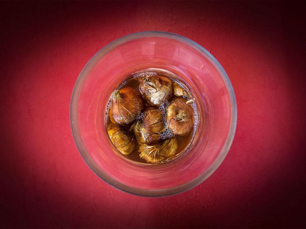 Photos of gladiolus corms soaking in water with seaweed extract