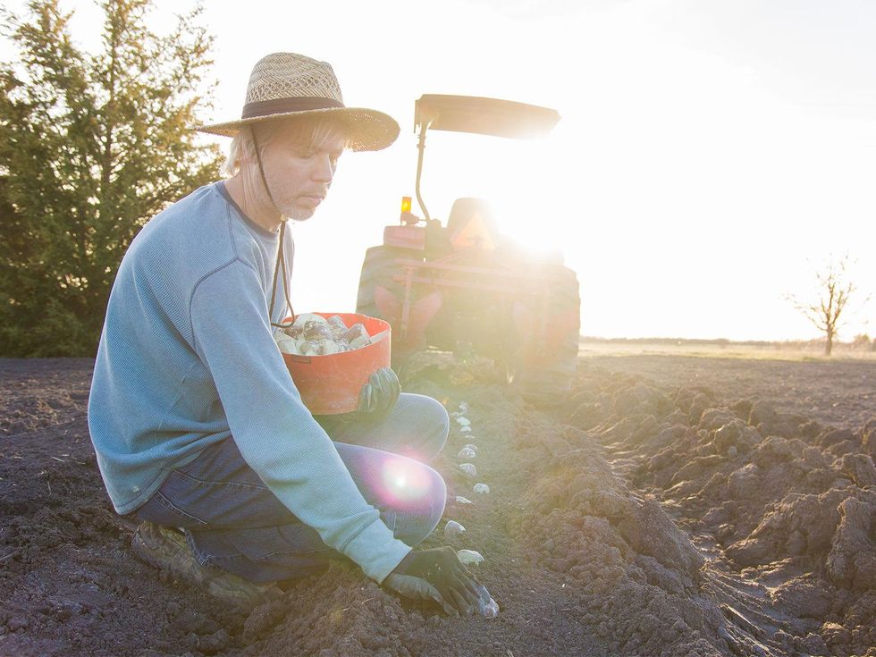 Picture of Marshall Hinsley planting potatoes
