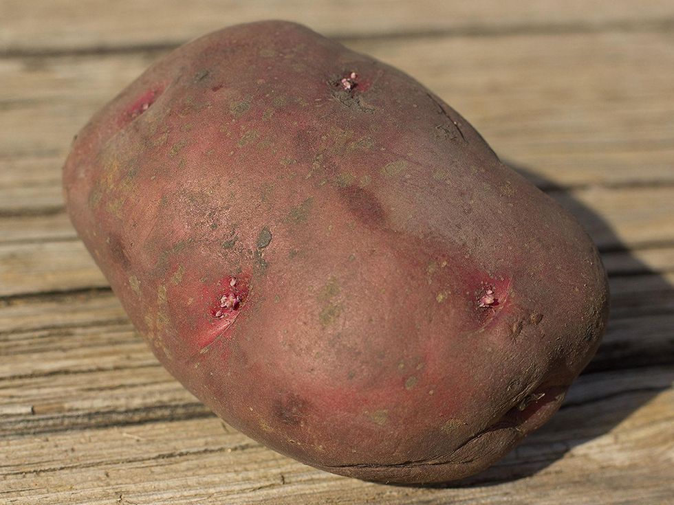 Picture of seed potato's eyes